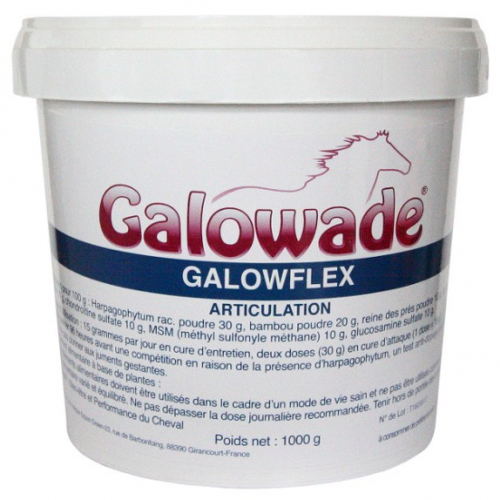 Galowflex-mobilité Harpagophytum Glucosamine Chondroïtine Msm