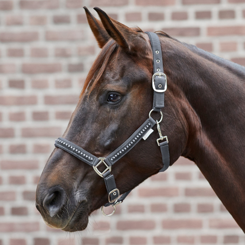 Licol cheval nylon matelassé Crystal - Waldhausen