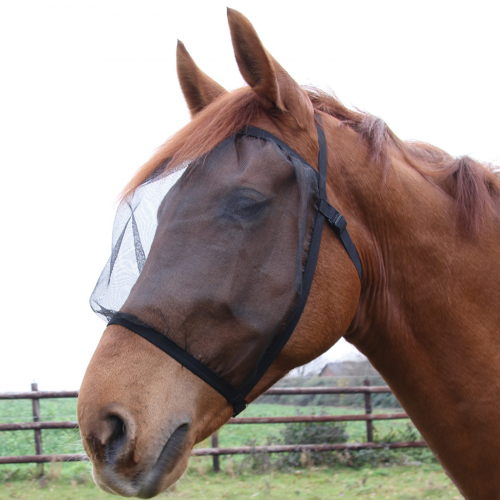 Masque anti-mouche cheval sans oreilles Basic - Waldhausen