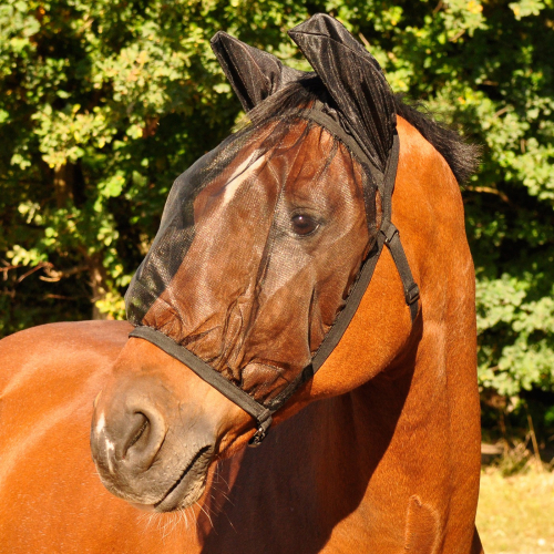 Masque anti-mouche cheval avec oreilles Basic - Waldhausen