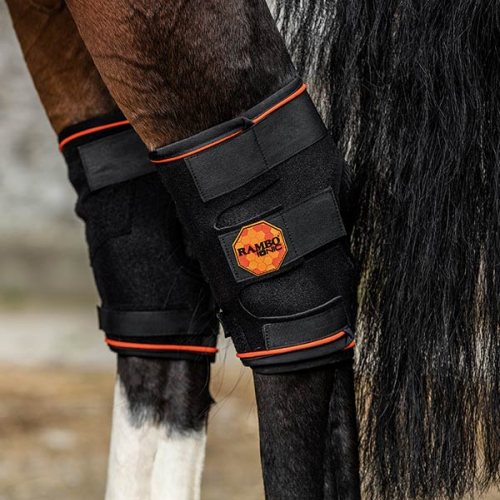 Protège-jarret cheval Rambo Ionic - Horseware