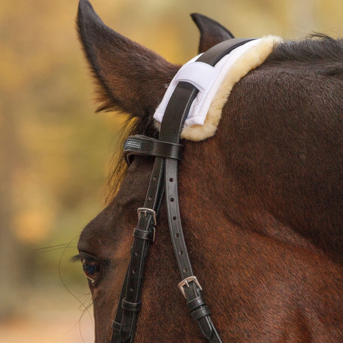 Protection muserolle têtière mouton véritable - Waldhausen