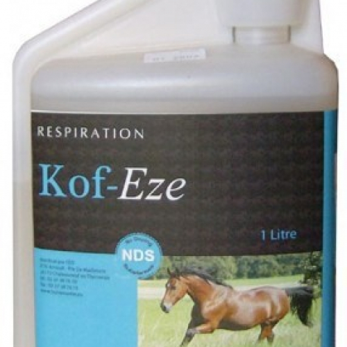 Kof Eze1 L - Horse Master