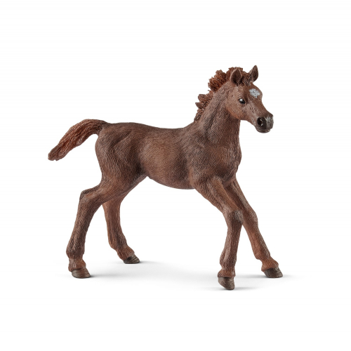 Figurine poulain Pur-sang Anglais - Schleich