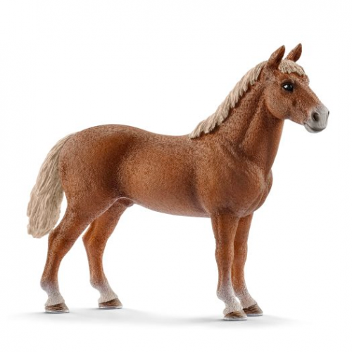 Figurine étalon Morgan - Schleich