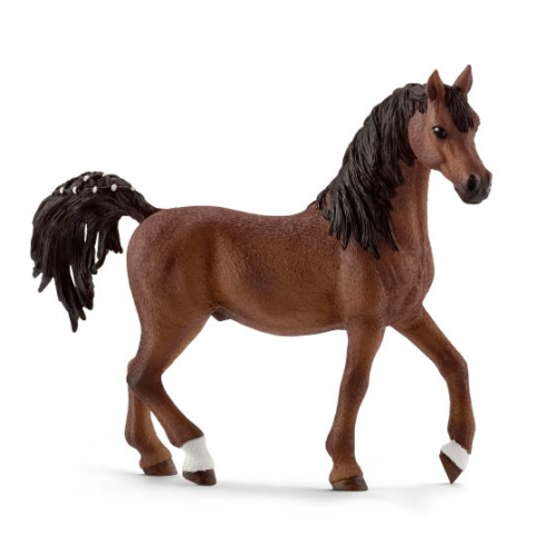 Figurine étalon Arabe - Schleich