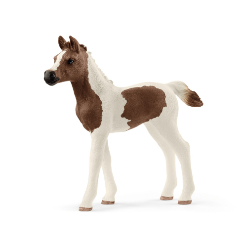 Figurine poulain Pintabian - Schleich