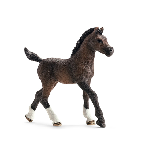 Figurine poulain Arabe - Schleich