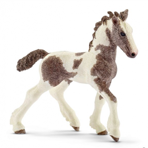 Figurine poulain Tinker - Schleich