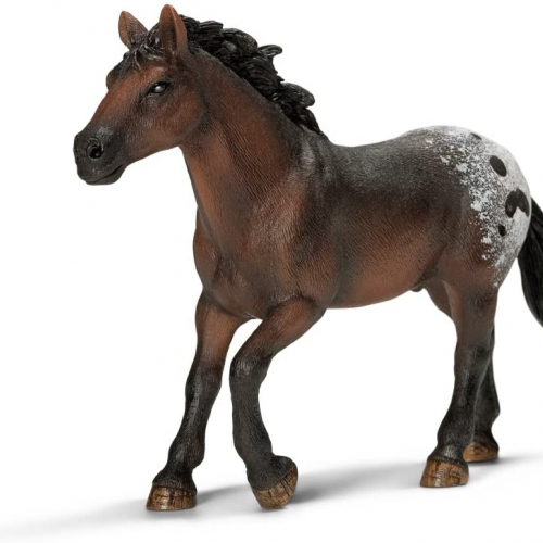 Figurine étalon Appaloosa - Schleich