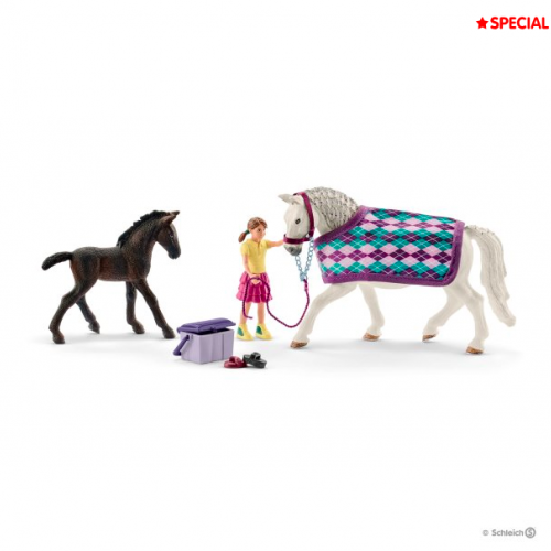 Kit de jeux Soins pour Lipizzans - Schleich