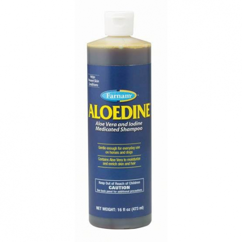 Shampoing désinfectant 473 ml Aloedine