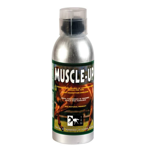 Body Builder naturel chevaux 960 ml Muscle Up - Trm