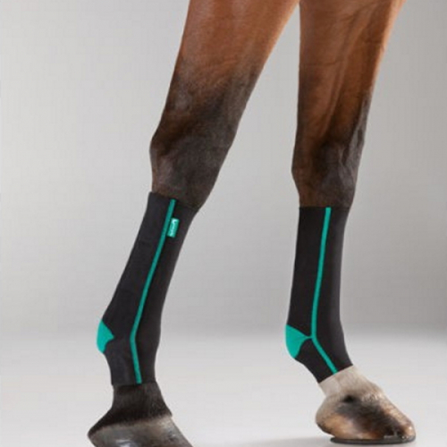 Chaussettes de contention cheval Active Compression - Equicrown