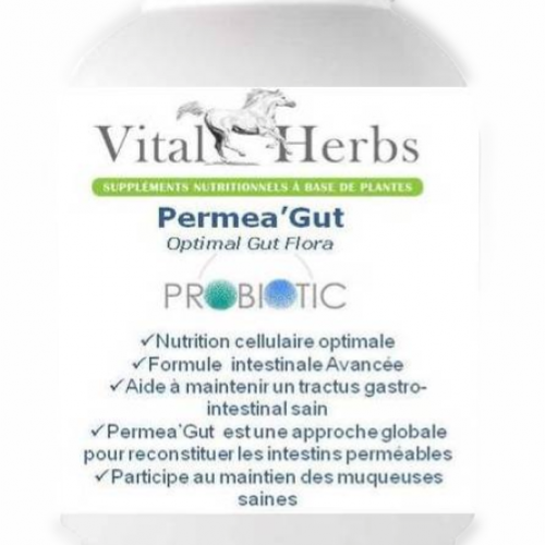 Permea Gut probiotique - Vial Herbs