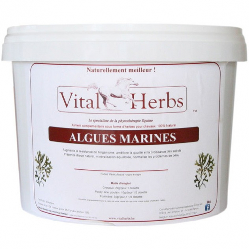 Algues marines cheval 2 kg