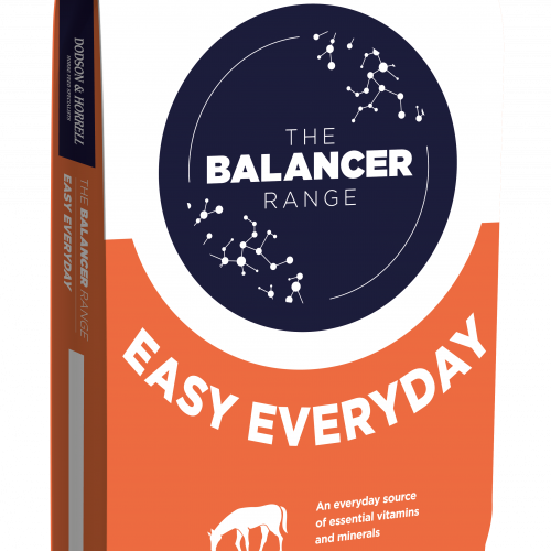 Vitamines et minéraux 15 kg Easy Everyday Balancer