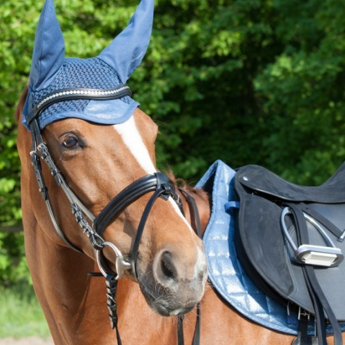 Bonnet anti-mouche cheval Metallic - Waldhausen