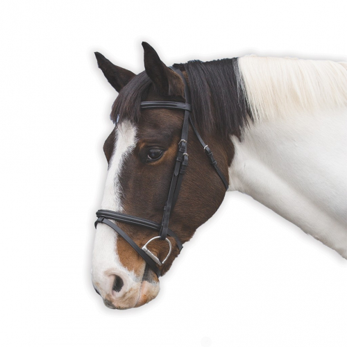 Bridon cheval muserolle combinée rênes caoutchouc - Loveson