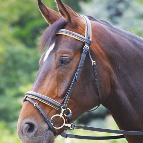 Bridon cuir muserolle combinée - Cavalhorse