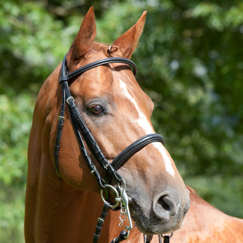 Bride de dressage cuir muserolle française Anja Beran - Kieffer