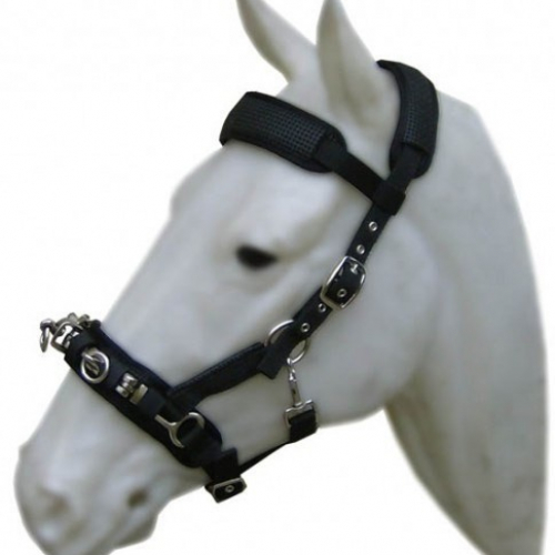 Caveçon nylon doublé néoprène - Cavalhorse