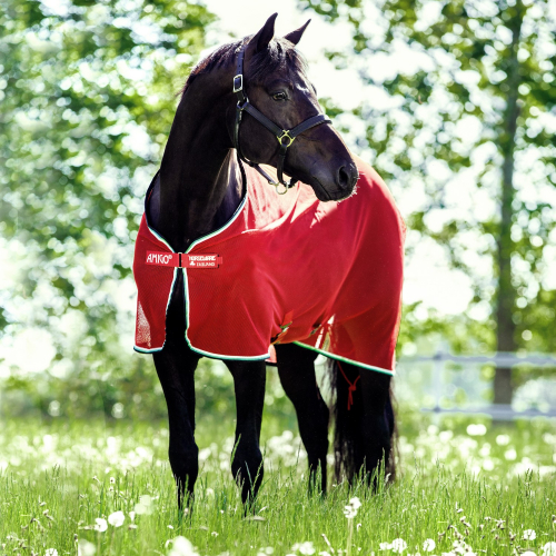 Chemise séchante cheval Amigo Net Cooler - Horseware