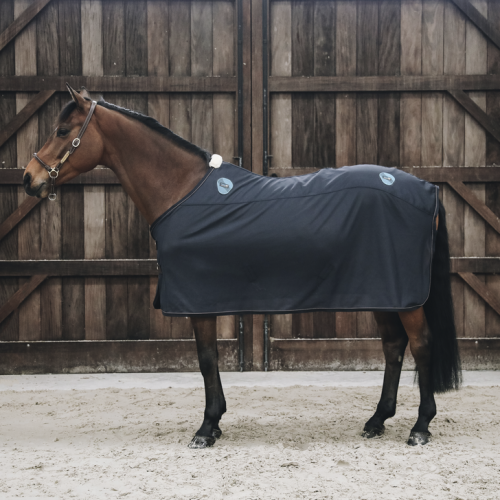 Chemise Magnetic Rug Recuptex - Kentucky