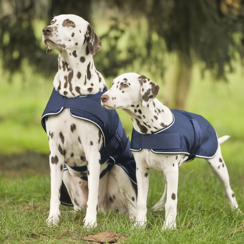 Couverture de pluie chien - Waldhausen