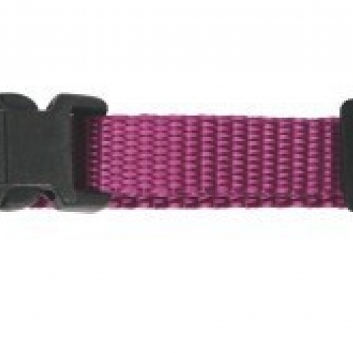 Collier nylon pour chien Miami