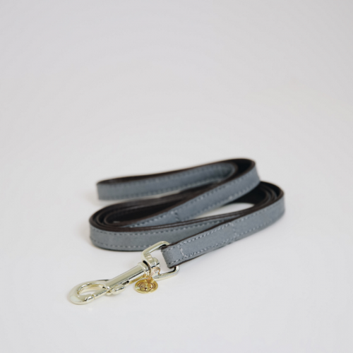 Laisse chien en nylon tréssé Loop - Kentucky Dogwear