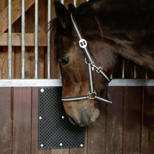 Plaque murale grattage chevaux