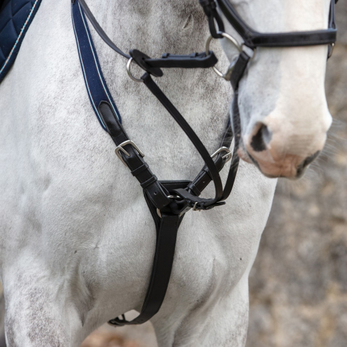 Collier de chasse élastique trois points avec martingale Micklem