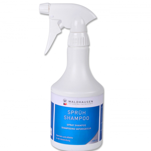 Shampoing spray mousse 500 ml