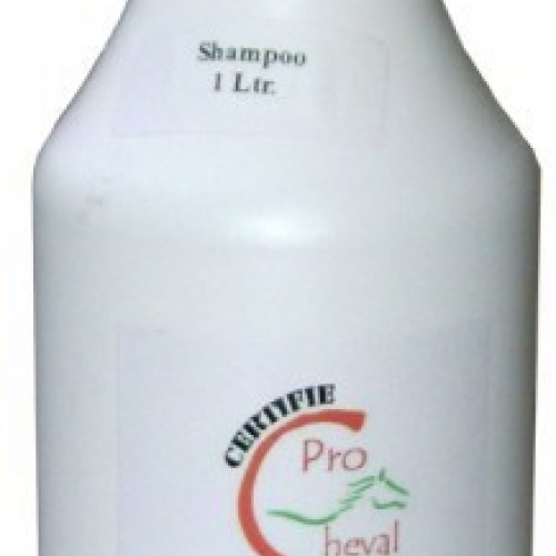 Shampoing 1 L