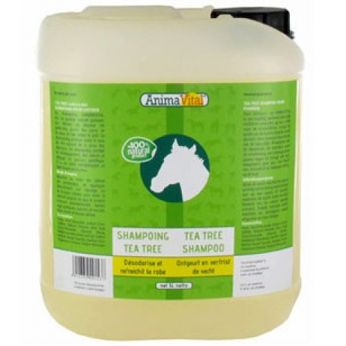 Shampoing apaisant Tea Tree 5 L