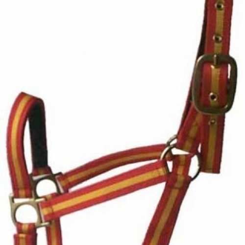 Licol cheval nylon doublé cuir