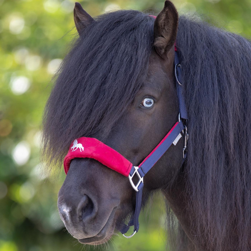 Licol cheval Alcantara Island - Waldhausen