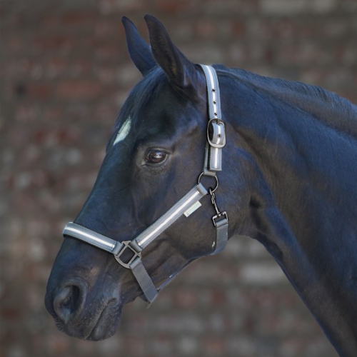 Licol cheval réfléchissant - Waldhausen