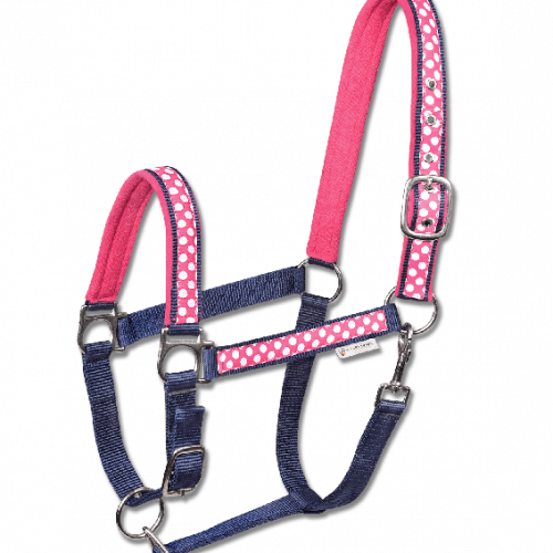 Set licol nylon et longe cheval Unicorn - Waldhausen