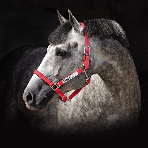 Licol de sécurité cheval Fieldsafe - Horseware