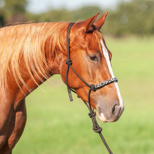 Licol éthologique cheval avec longe/perles indiennes - Cashel