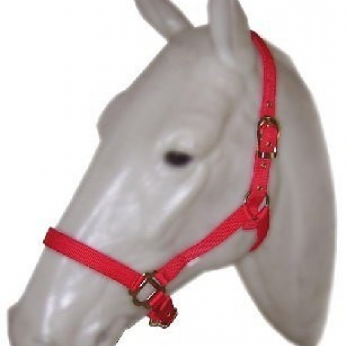 Licol cheval nylon double épaisseur