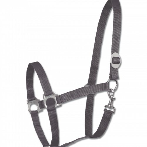 Licol cheval nylon doublé doux Perlon - Waldhausen