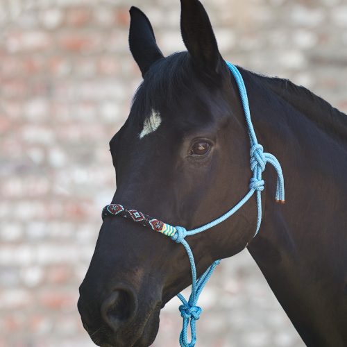 Licol éthologique cheval à noeuds design perles - Waldhausen
