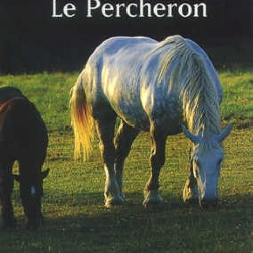 Le Percheron