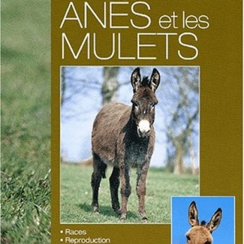 Bien connaitre les ânes et mulets