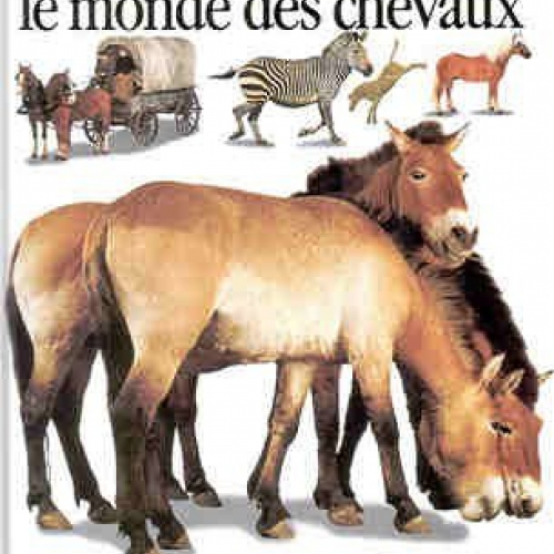 Le monde des chevaux