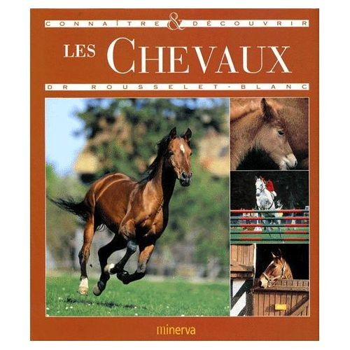 Connaître et découvrir les chevaux