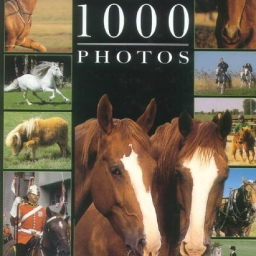 CHEVAUX EN 1000 PHOTOS